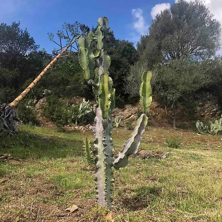 Appartamento Casa In Collina, Con Vista Mare
