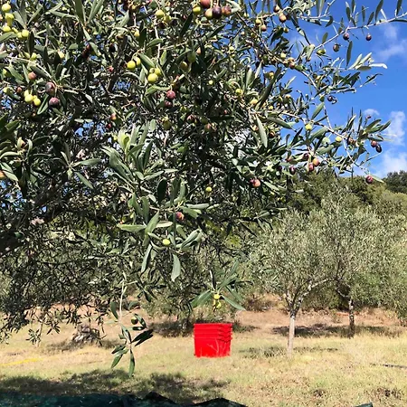 Casa In Collina, Con Vista Mare Appartamento