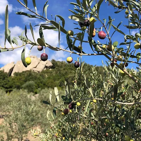 Casa In Collina, Con Vista Mare Appartamento Biaxi